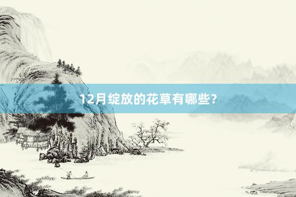12月绽放的花草有哪些？