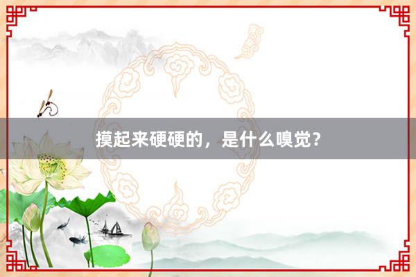 摸起来硬硬的，是什么嗅觉？
