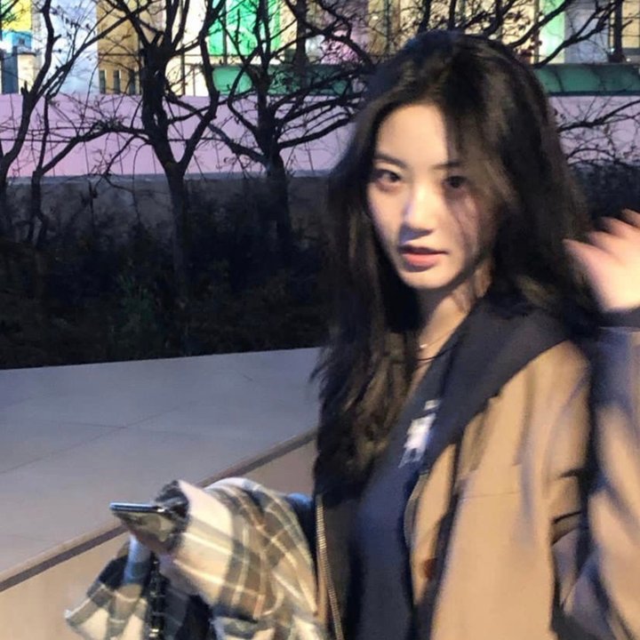 我的主人是条狗